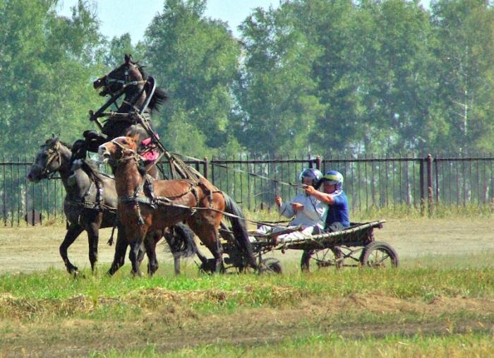Фото Конные скачки. Кубок губернатора 2010