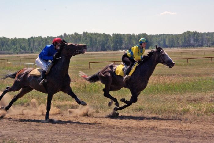 Фото Конные скачки. Кубок губернатора 2010
