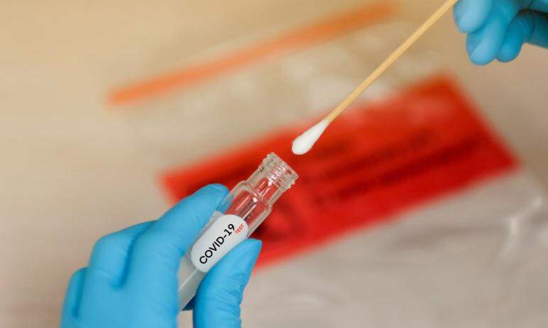 Анализы на коронавирусную инфекцию COVID-19 в лабораториях Челябинской области обрабатываются в т