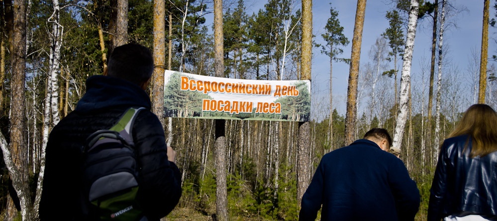 Центр пожаротушения и охраны лесов. Общество леса. Челябинские леса. Лесная община.