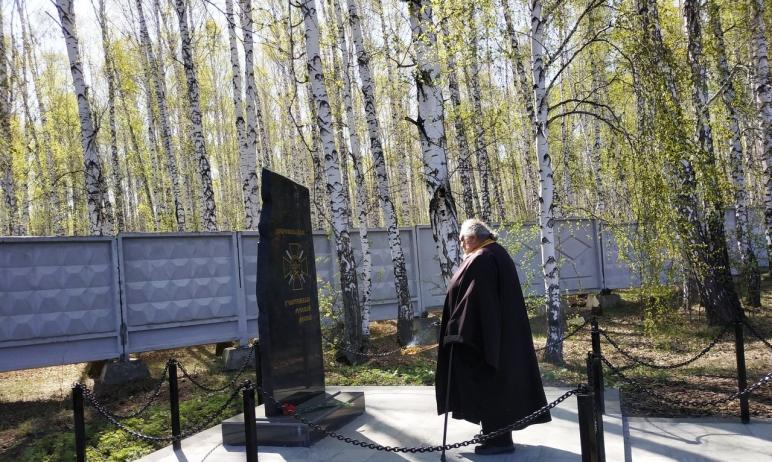 Батюшка урал. Александр Погудин Челябинск священник. Александр Погудин священник.