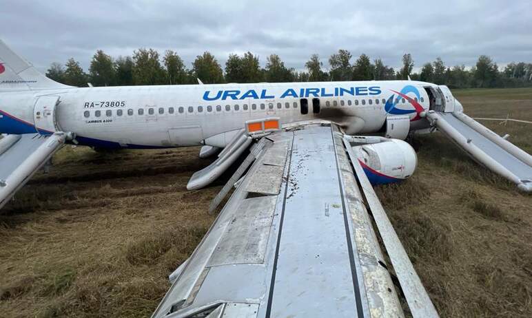 По факту аварийной посадки самолета Airbus A320 в пшеничном поле в Новосибирской области возбужде