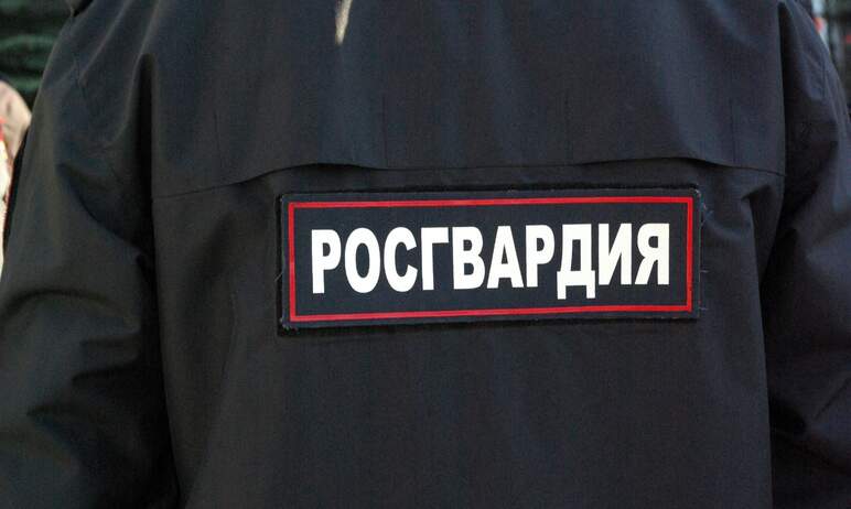 В Челябинске росгвардейцы нашли пропавшего семилетнего мальчика и вернули родителям.

Вч