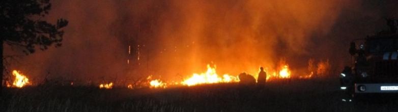 В Брединском районе продолжается ликвидация крупного лесного пожара