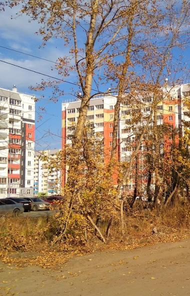 В Челябинске завтра, десятого октября, жители поселка Чурилово будут отстаивать свое право жить т