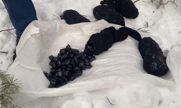 В Челябинской области сотрудники полиции Кыштыма обнаружили в лесу носки с наркотиками. Тайники в