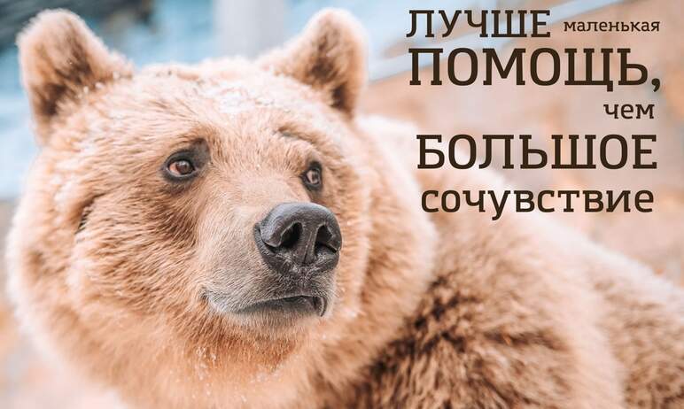 Челябинский зоопарк присоединился к всероссийской акции помощи зоопаркам и аквариумам Донбасса и 
