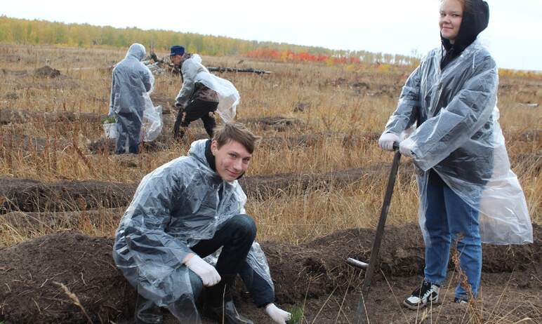 В Сосновском районе Челябинской области в прошедшие выходные, 25 и 26 сентября, волонтёры РусКлим