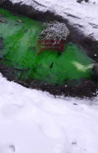 В Челябинске воды реки Миасс в очередной раз окрасились в ярко-зеленый цвет, о чем горожанам расс