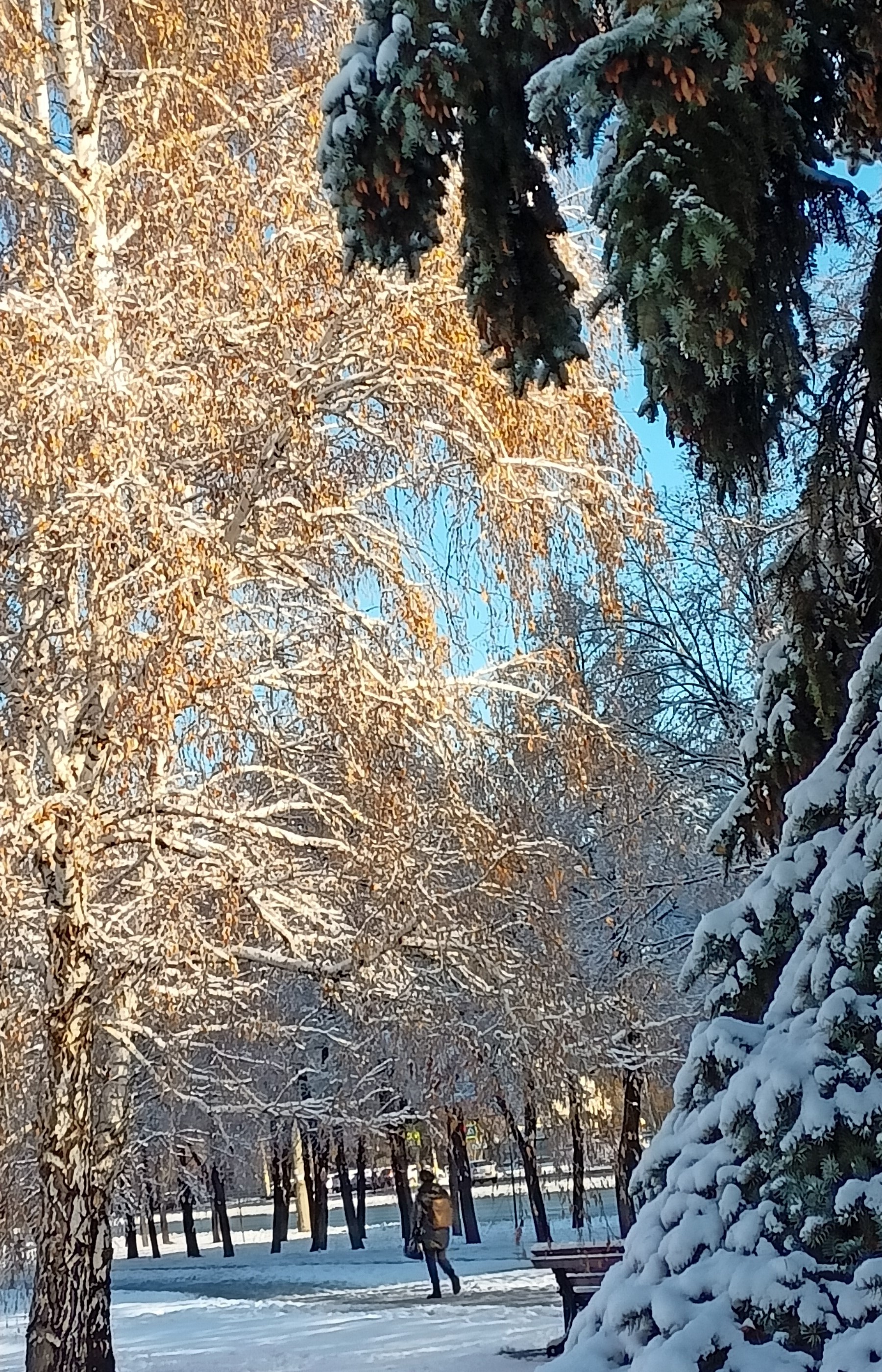 Погода на 10 дней южноуральск челябинская область. Снег фото. Челябинская область Мороз. Челябинск январь. Снегопад в Челябинске.