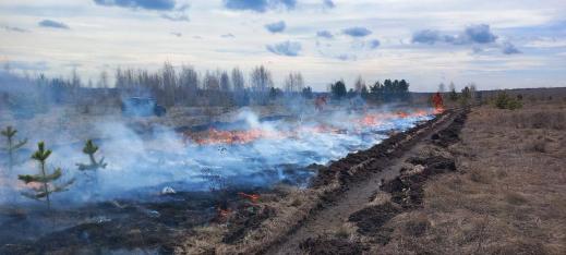 Фото Жара в Челябинской области повышает уровень пожарной опасности